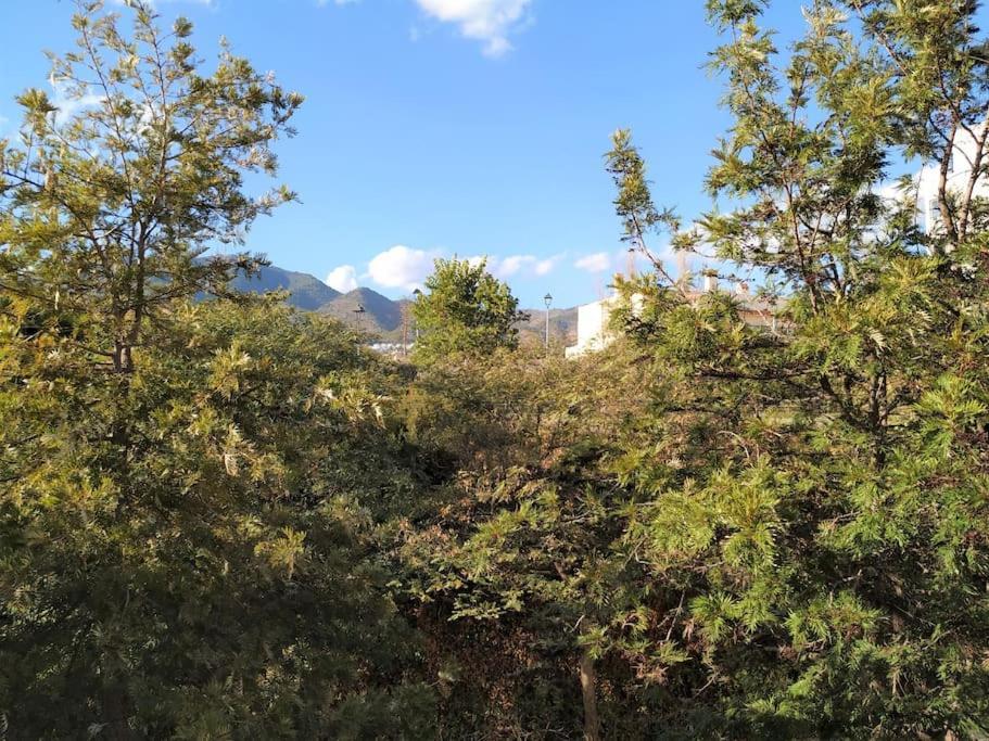 Brisa Quebrada Beach, 2 Bed, Sea Views, Pool Benalmádena Exterior foto